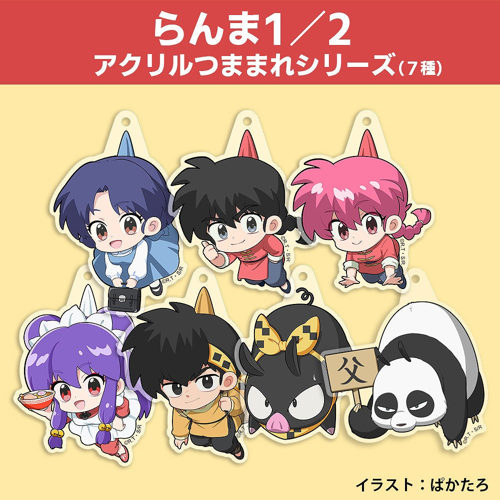 らんま1/2 あかね アクリルつままれ 【01/24頃入荷】