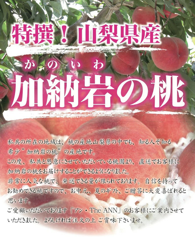 【 世界農業遺産 認定 】山梨の桃 特撰 山梨県 加納岩の桃( かのいわのもも )特秀 大玉 2kg箱 (4〜5個入り)【 アンの桃 】 桃