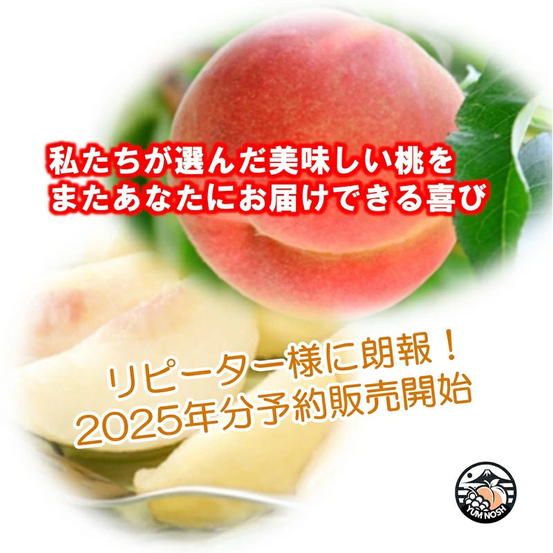 桃 予約販売 【 日川の桃 2.0キロ箱入り 】2025年6月下旬より発送 ☆ YUM NOSH 山梨