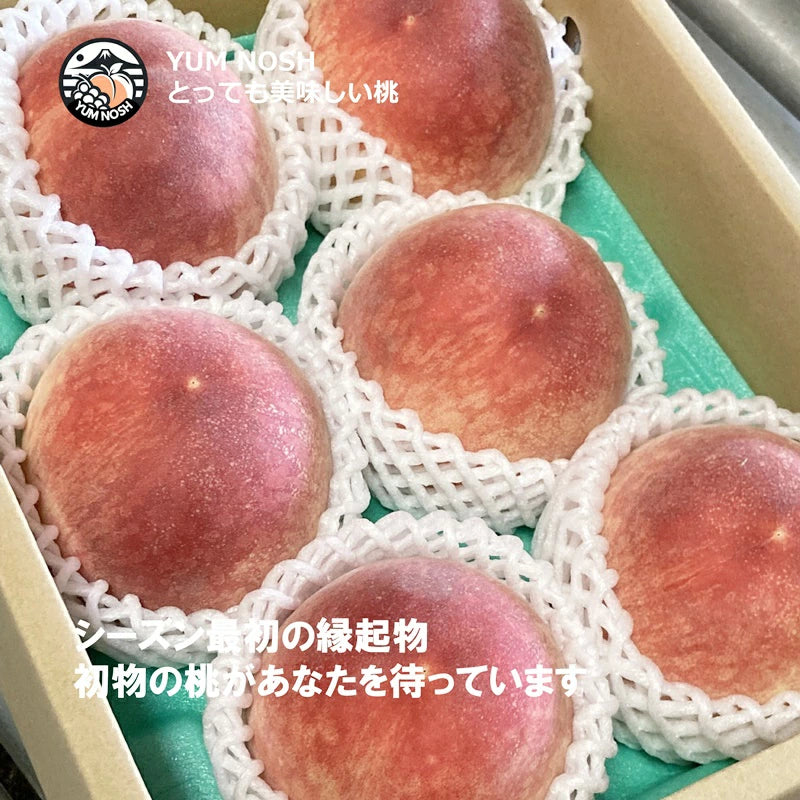 桃 予約販売 【 日川の桃 2.0キロ箱入り 】2025年6月下旬より発送 ☆ YUM NOSH 山梨