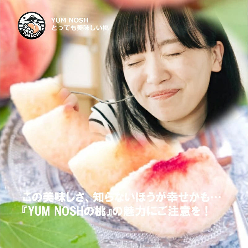 桃 予約販売 【 日川の桃 2.0キロ箱入り 】2025年6月下旬より発送 ☆ YUM NOSH 山梨