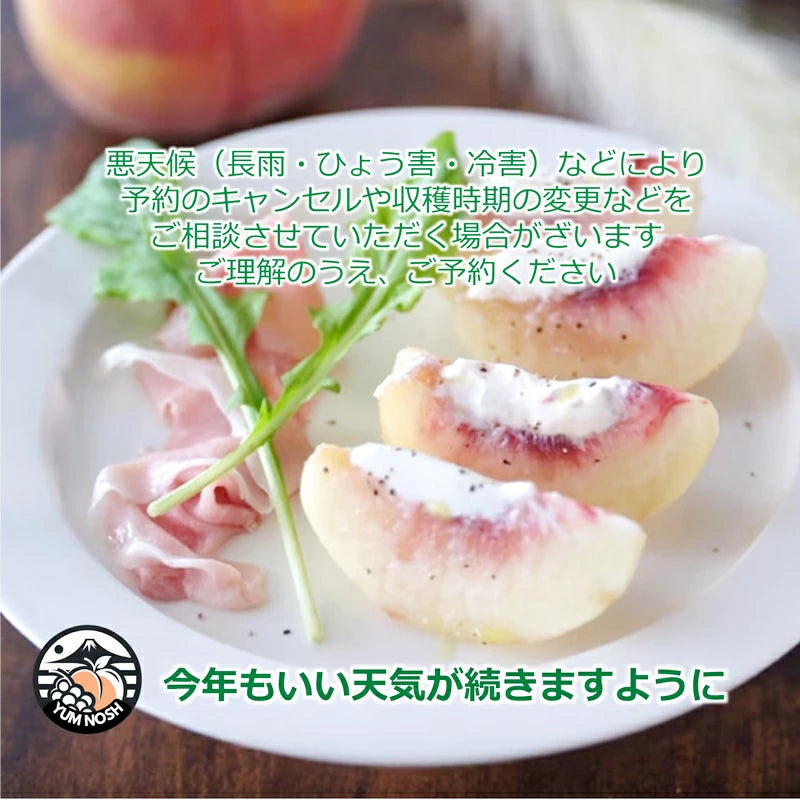 桃 予約販売 【 日川の桃 2.0キロ箱入り 】2025年6月下旬より発送 ☆ YUM NOSH 山梨