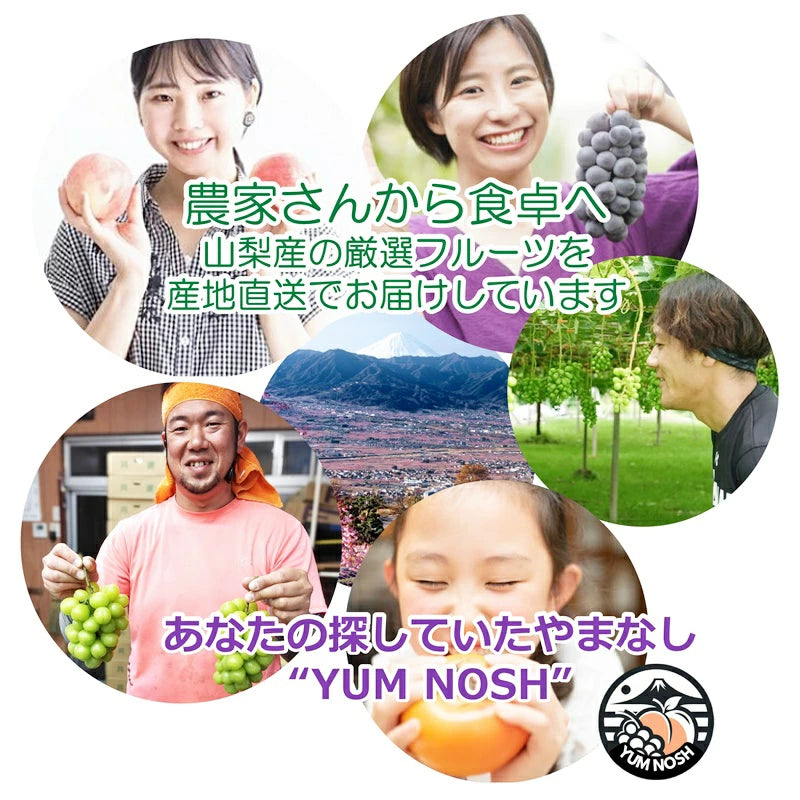 桃 予約販売 【 日川の桃 2.0キロ箱入り 】2025年6月下旬より発送 ☆ YUM NOSH 山梨