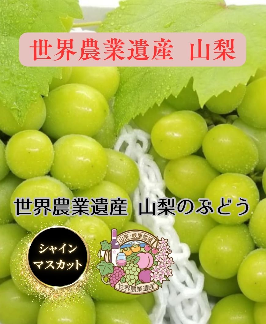 葡萄