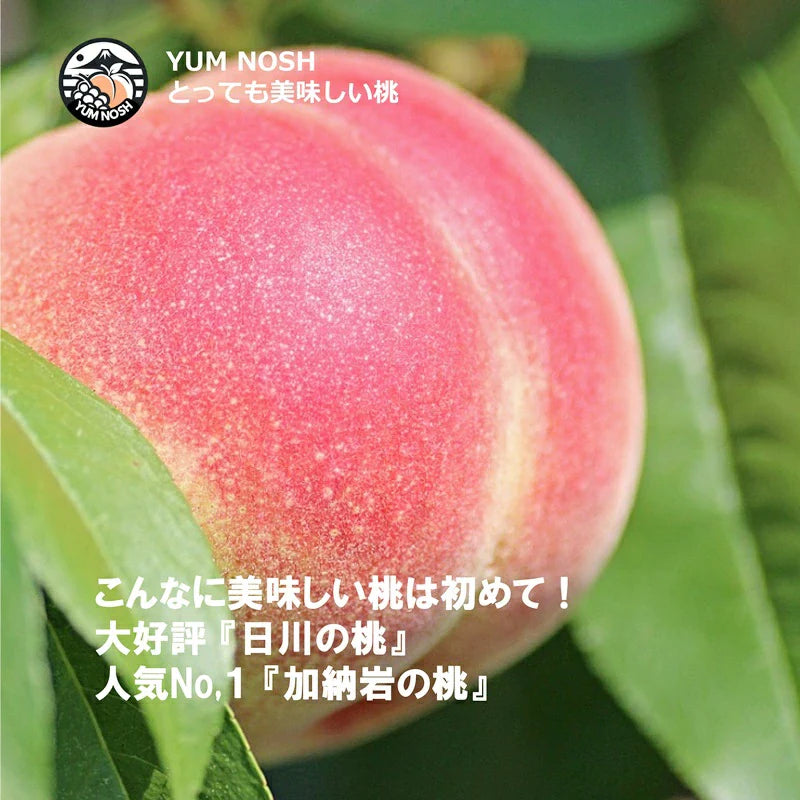 桃