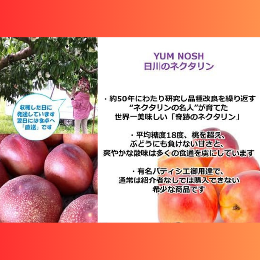 山梨産 ネクタリン（黎明） 2kg箱（11～15個入）【 YUM NOSH 】　
