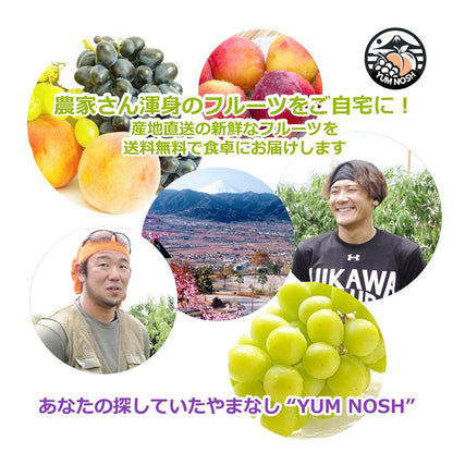 ※2026年7月中旬頃より発送【 世界農業遺産 認定 】山梨の桃  てっぺんの桃 1.5kg箱 （大玉4個）【 YUM NOSH 】 桃
