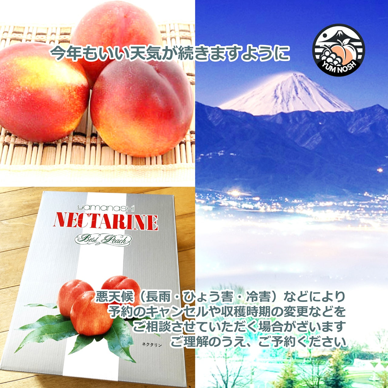 山梨産 ネクタリン（黎王） 『紅の恵』の親分  2kg箱（8～9個入）【 YUM NOSH 】　