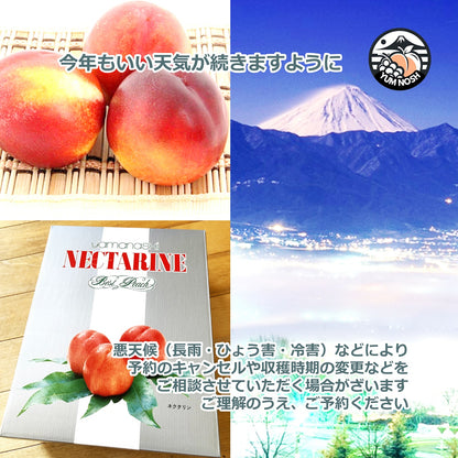 山梨産 ネクタリン（黎王） 『紅の恵』の親分  2kg箱（8～9個入）【 YUM NOSH 】　