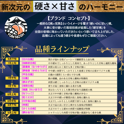 ※2026年7月中旬頃より発送【 世界農業遺産 認定 】山梨の桃  硬甘桃 2kg箱 （大玉6個）【 YUM NOSH 】 桃