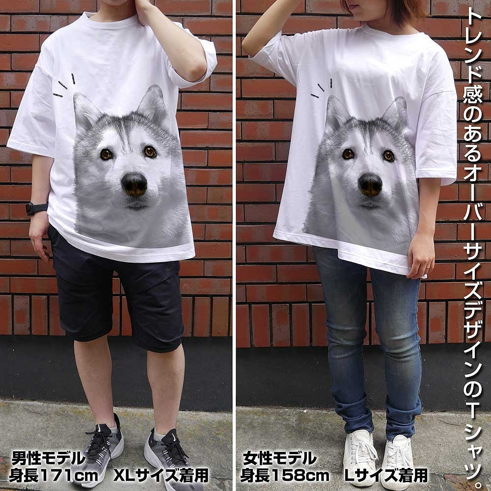 ハマジ シルビア ビッグシルエットTシャツ WHITE L  【02/16頃入荷】