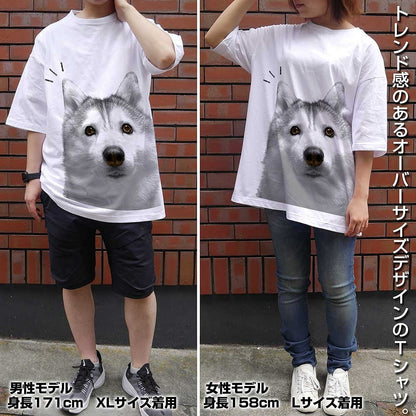 ハマジ シルビア ビッグシルエットTシャツ WHITE L  【02/16頃入荷】