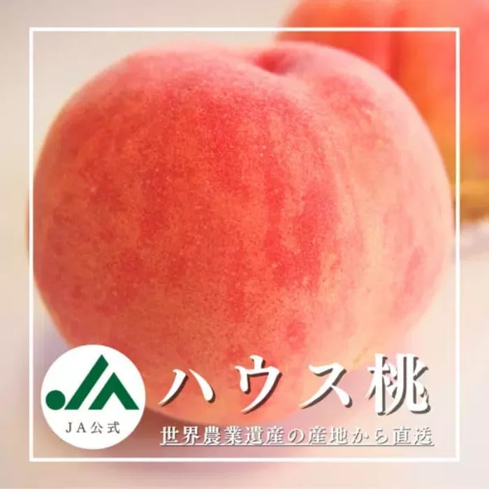 山梨県産 ハウス桃 化粧箱入り JAフルーツやまなし協賛店 YUM NOSH 温室桃 高級フルーツ 贈答用