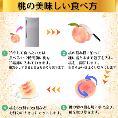 ※2026年7月中旬頃より発送【 世界農業遺産 認定 】山梨の桃  てっぺんの桃 1.5kg箱 （大玉4個）【 YUM NOSH 】 桃