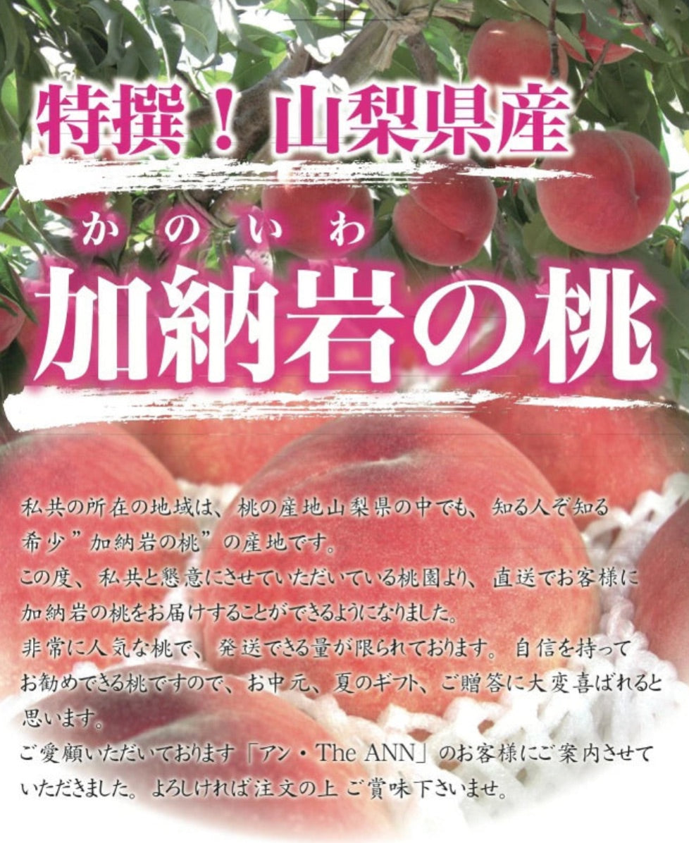 ※2026年6月末頃より発送【 世界農業遺産 認定 】山梨の桃 特撰 山梨県 加納岩の桃（ かのいわのもも ）特秀 大玉 1kg箱 （通常2~3個入り）【 YUM NOSH 】 桃