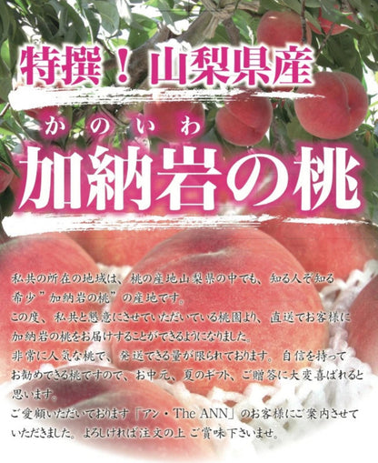 ※2026年6月末頃より発送【 世界農業遺産 認定 】山梨の桃 特撰 山梨県 加納岩の桃（ かのいわのもも ）特秀 大玉 1kg箱 （通常2~3個入り）【 YUM NOSH 】 桃