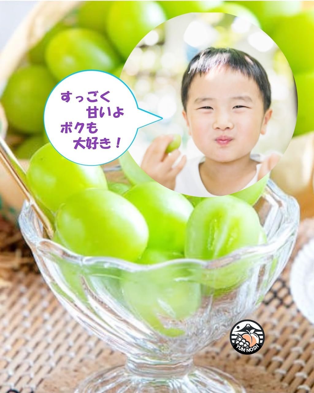山梨県産 シャインマスカット 2kg箱（3〜5房） 【 世界農業遺産 】【 YUM NOSH 】　