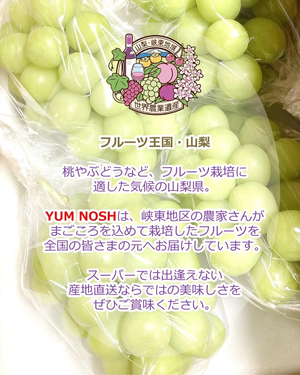 山梨県産 シャインマスカット 2kg箱（3〜5房） 【 世界農業遺産 】【 YUM NOSH 】　