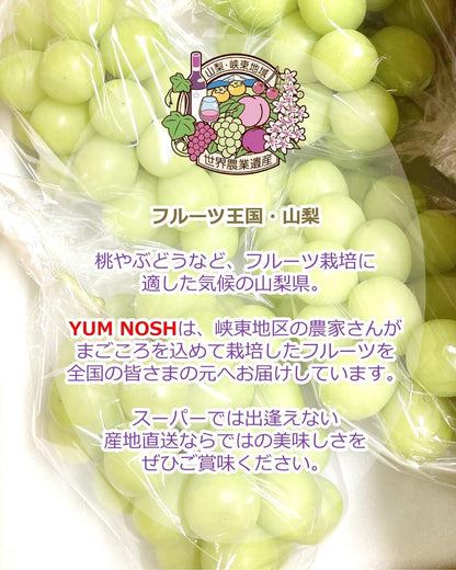 山梨県産 シャインマスカット 2kg箱（3〜5房） 【 世界農業遺産 】【 YUM NOSH 】　