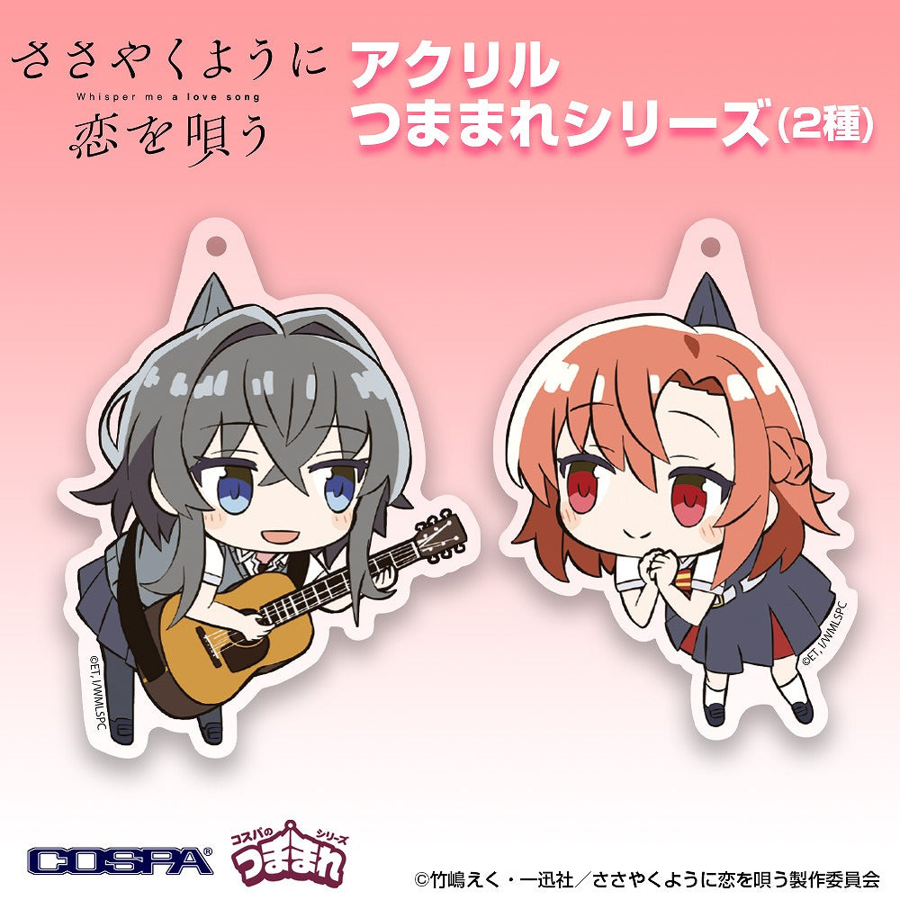 ささやくように恋を唄う 朝凪依 アクリルつままれ 【02/16頃入荷】