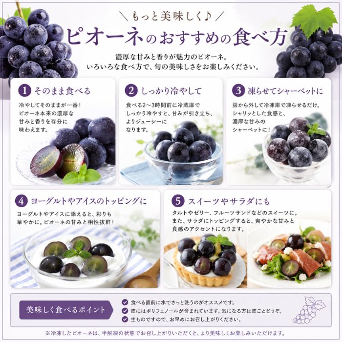 【 世界農業遺産 】山梨県 葡萄 温室 種無し ピオーネ （１房）  ぶどう 産地直送 【 YUM NOSH 】