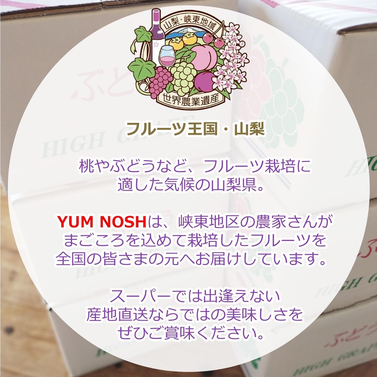 【 世界農業遺産 】山梨県 葡萄 温室 種無し ピオーネ （１房）  ぶどう 産地直送 【 YUM NOSH 】