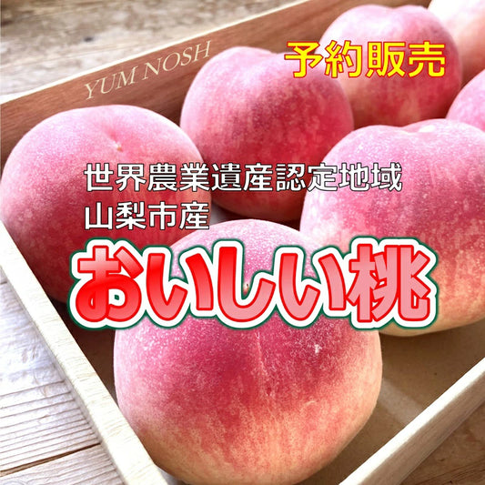 桃 予約販売 【 日川の桃　2.0キロ箱入り 】2025年6月下旬より発送 ☆ YUM NOSH 山梨