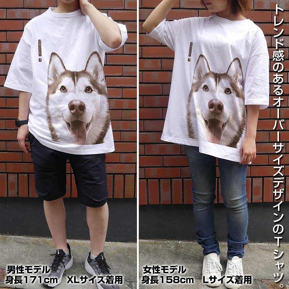 ハマジ シャンテ ビッグシルエットTシャツ WHITE L  【02/16頃入荷】